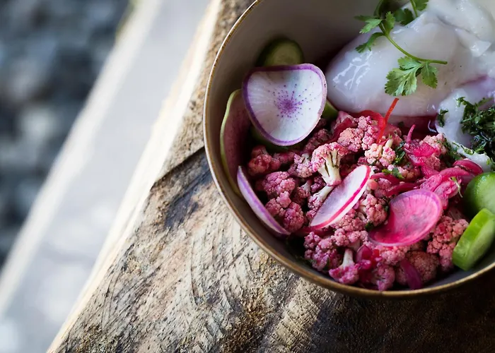度假村 Revivo Wellness Bali