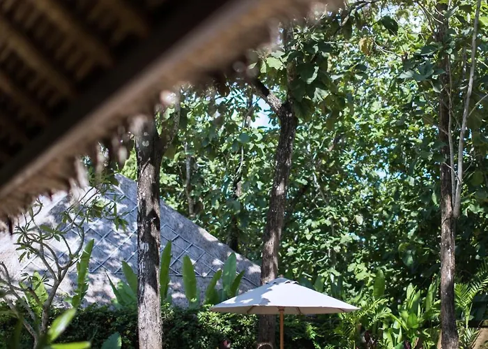 度假村 Revivo Wellness Bali