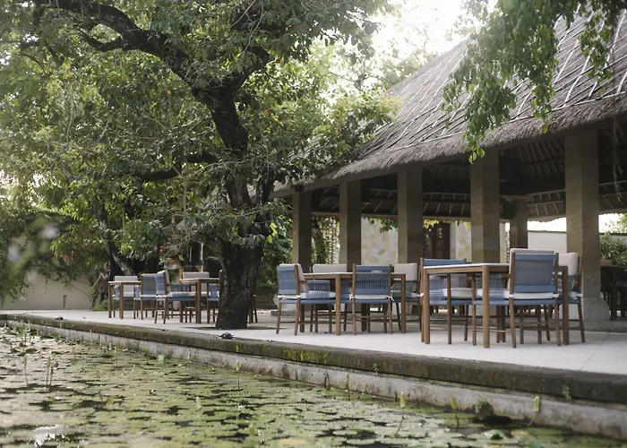 Revivo Wellness Bali