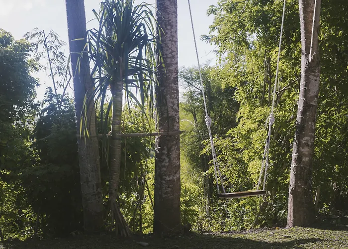 Revivo Wellness Bali 5*